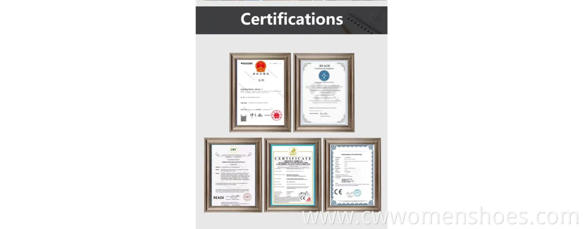 Plaid Pattern High Quality Canvas Fashion Thick Soled Women′ S Walking Style Shoes Brand Women′ S Sneakers Designer Wholesale